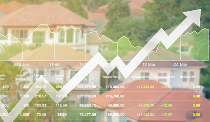 Real Estate Market Report